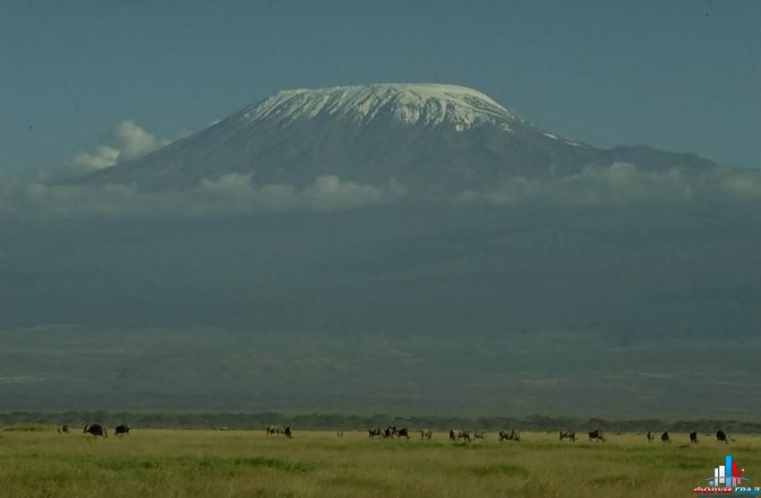 форум о природе