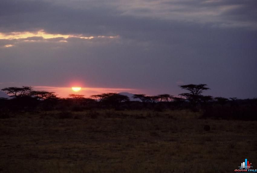 форум о природе