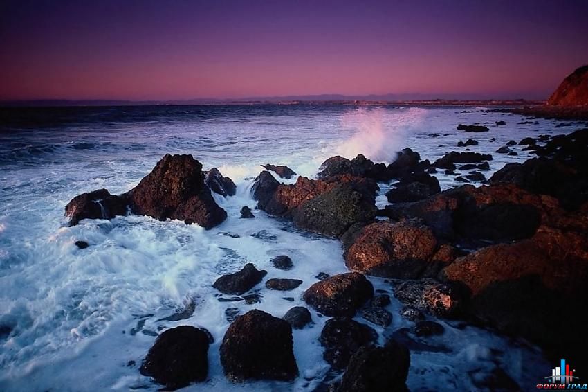 форум о природе