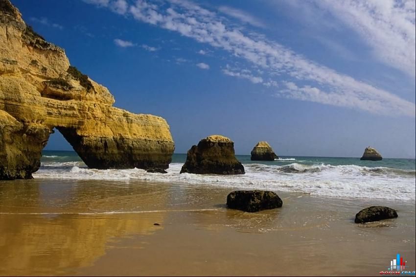 форум о природе