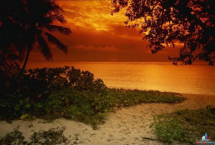 форум о природе