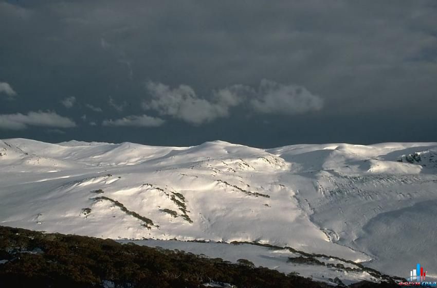 форум о природе