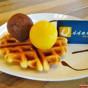 udders