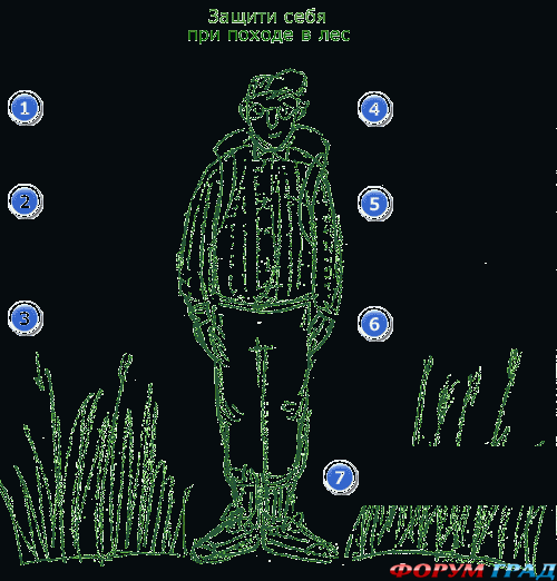 Как защититься от клещей