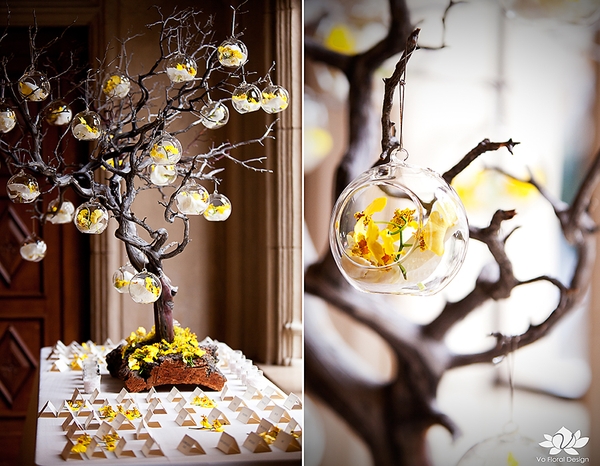 manzanita-branch-wishing-tree