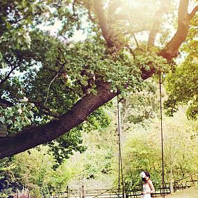 wedding-swing-021