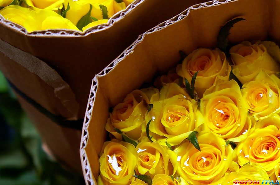 Самые колоритные рынки мира