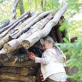 Подарки от гномов