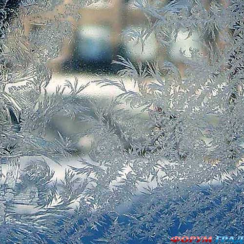 Moroz