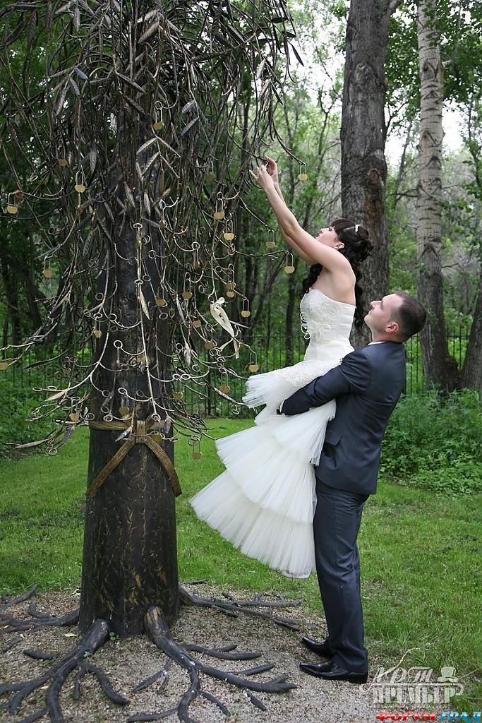 Деревья любви Курган