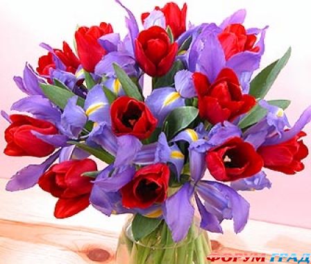 Поздравления