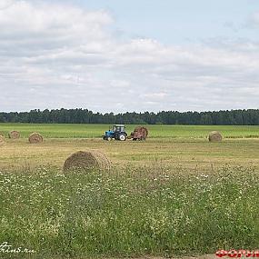 Priroda Podmoskov'ya