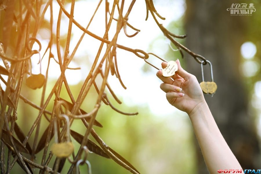 Деревья любви в Кургане