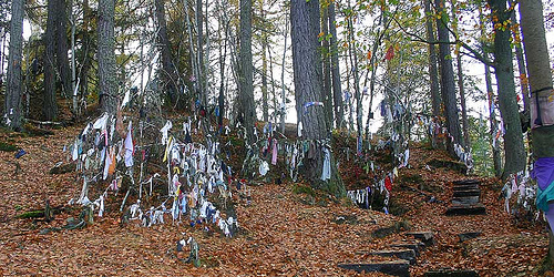 7 faktov o Novom Gode i rozhdestve