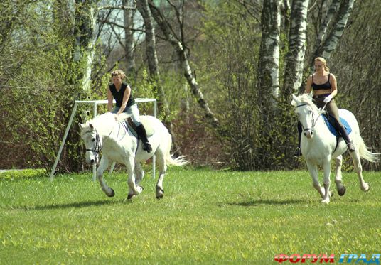 Морозовка 6