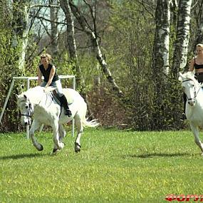 Морозовка 6