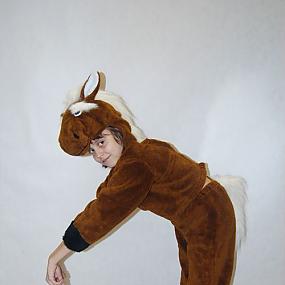 Karnaval'nie kostumy