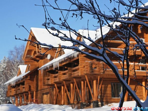 Романов лес