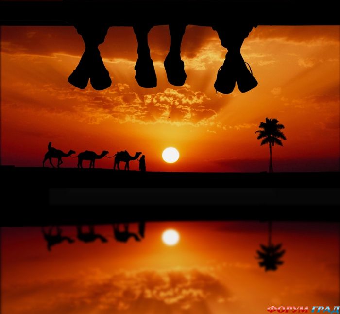 Siluetnye fotografii