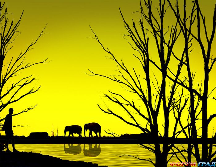 Siluetnye fotografii