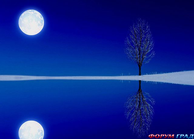 Siluetnye fotografii