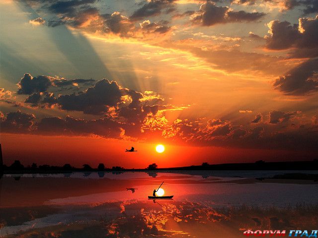 Siluetnye fotografii