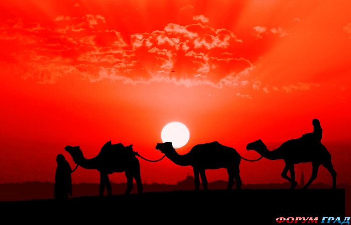 Siluetnye fotografii