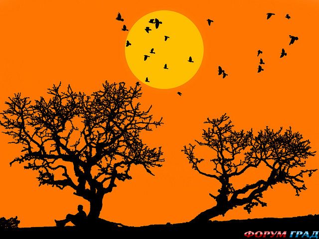 Siluetnye fotografii