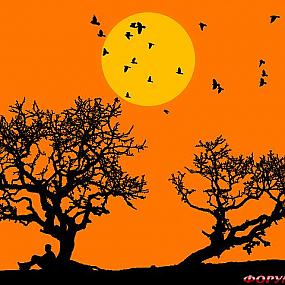 Siluetnye fotografii