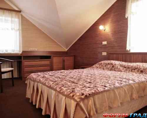 Сосновый бор 1