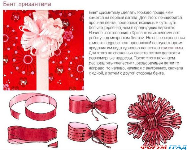 Бант хризантема
