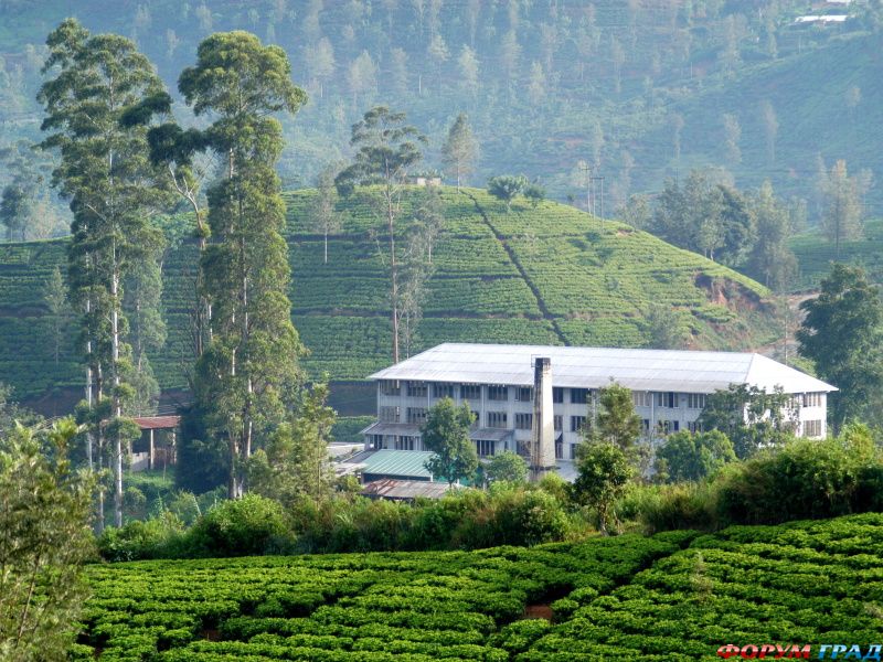 Необычные отели 5