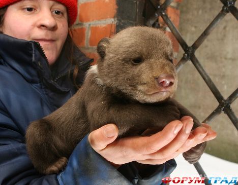 Калининградский зоопарк