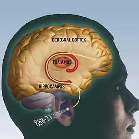 Психодиагностика