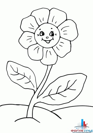 Раскраски цветов