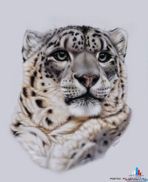 Хизер Лара. Картины