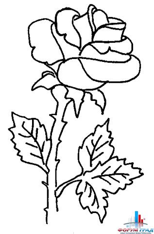 Детские раскраски цветы