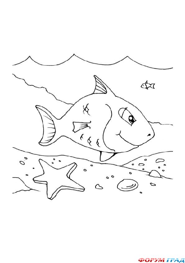 Детские раскраски. Морские обитатели