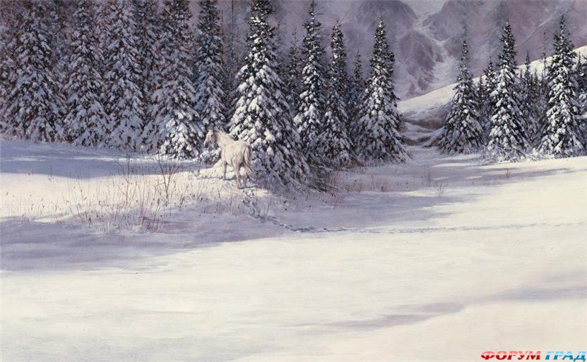 Zima na kartinah. Douglas R. Laird