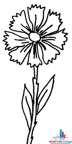 Детские раскраски цветы