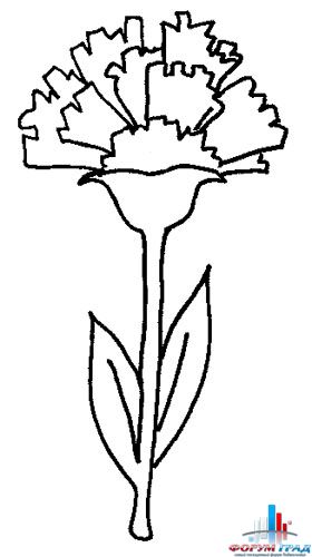 Детские раскраски цветы