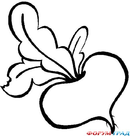 Детские раскраски овощи