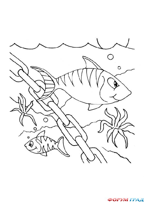 Детские раскраски. Морские обитатели