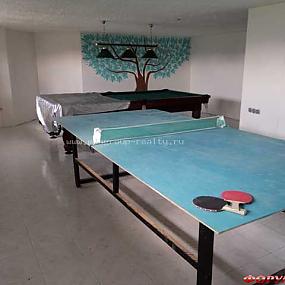 Коттедж в деревне Каменное Тяжино