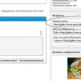 Как вставить изображение