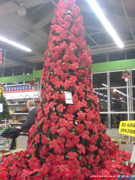 Елка из цветов