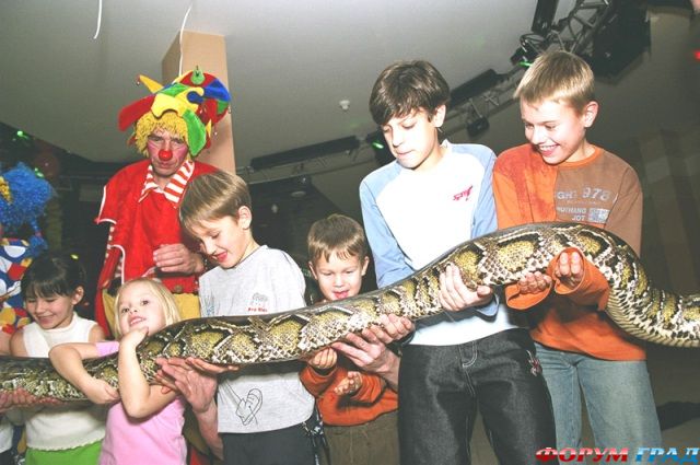 Детский театр Белый Альбатрос