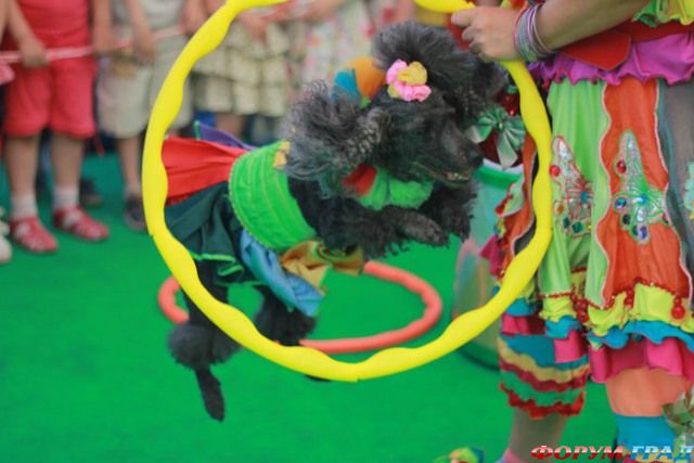 Детский театр Белый Альбатрос