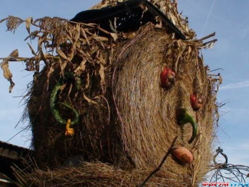 Фигура из сена 