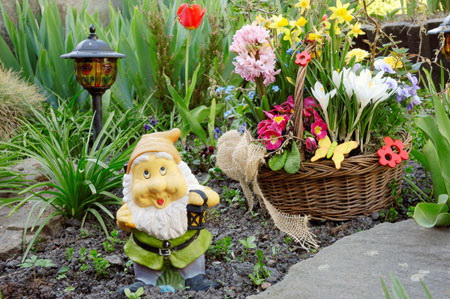 Дизайн участка